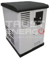 Газовый генератор REG GG8-230SV с АВР